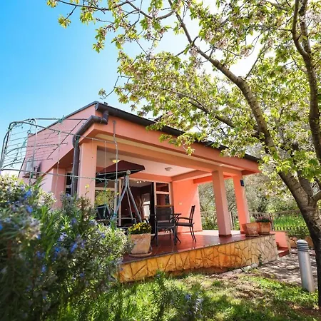 Cvita Holiday home *
