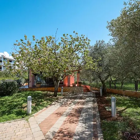 Cvita Holiday home